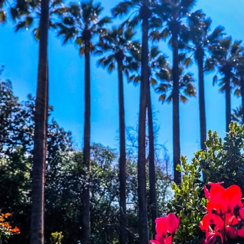 Καιρός αύριο