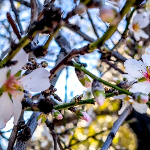 Αίθριος ο καιρός σήμερα
