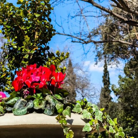 Ο καιρός σήμερα, Δευτέρα 16 Μαρτίου: Αίθριος με νεφώσεις και τοπικές βροχές στα ορεινά - Αυξημένη σκόνη και μικρή μεταβολή θερμοκρασίας.