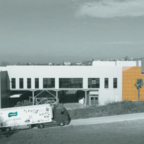 Ιωνική Σφολιάτα