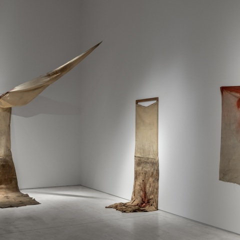 Στάθης Λογοθέτης, Φωτογραφίες από την προετοιμασία έργων της σειράς Φύση κατά τη διαμονή του καλλιτέχνη στο Worpswede της Γερμανίας, 1978-1979