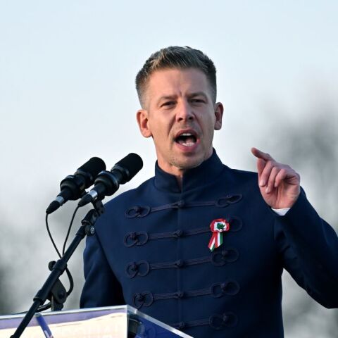 Ο επικεφαλής της κεντροδεξιάς αντιπολίτευσης στην Ουγγαρία, Πέτερ Μάγιαρ