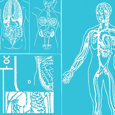 Παγκόσμια ημέρα υγείας 2026