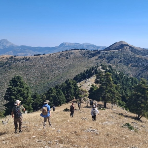 Επιφανειακή έρευνα μεταξύ Ερέτριας και Αμαρύνθου παρέχει νέα στοιχεία για την εξέλιξη του τοπίου σε βάθος χρόνου
