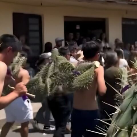 Η πομπή των κάκτων στο Μεξικό