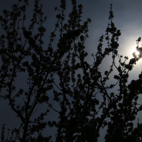 Καιρός αύριο: Συννεφιά με τοπικές βροχές την Κυριακή του Πάσχα