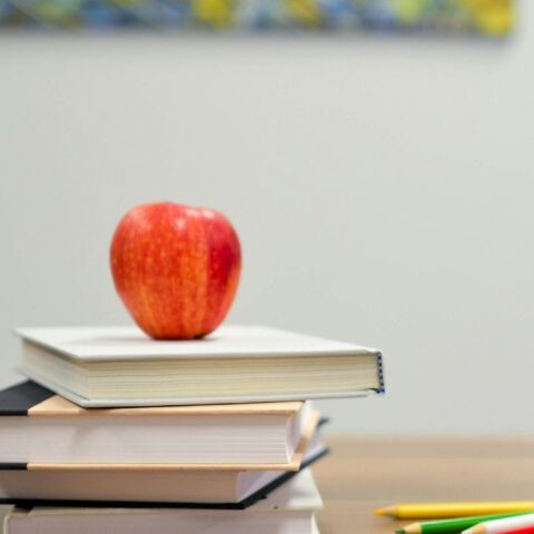 Νότια Κορέα: Νηπιαγωγός πέθανε αφού συνέχισε να εργάζεται με υψηλό πυρετό