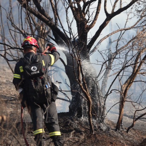 Καλύτερη η εικόνα της φωτιάς στο Λέπρεο Ηλείας