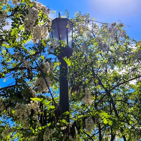 Ηλιοφάνεια στην Αθήνα