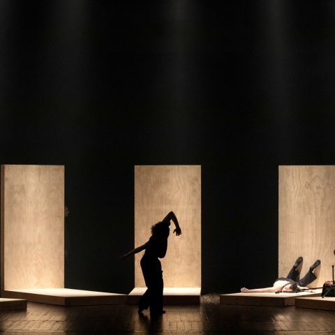 «Αντιγόνη» του Αλαν Λουσιάν Ογιέν, Αρχαίο Θέατρο της Επιδαύρου