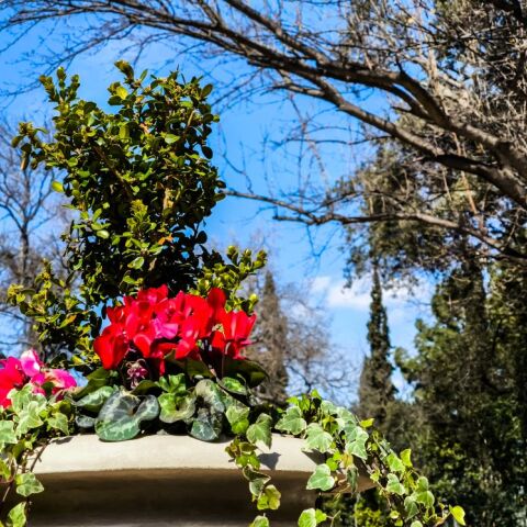 Καλοκαιρία στην Αθήνα