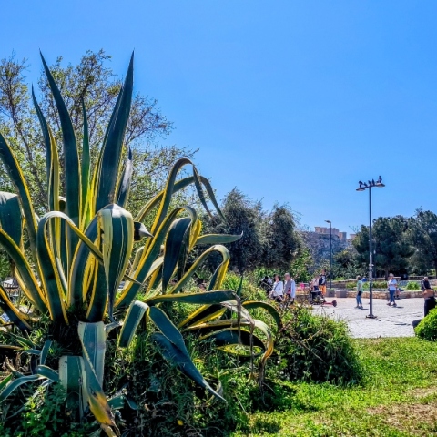 Αίθριος ο καιρός σήμερα με πρόσκαιρες νεφώσεις και τοπικές βροχές στα ορεινά