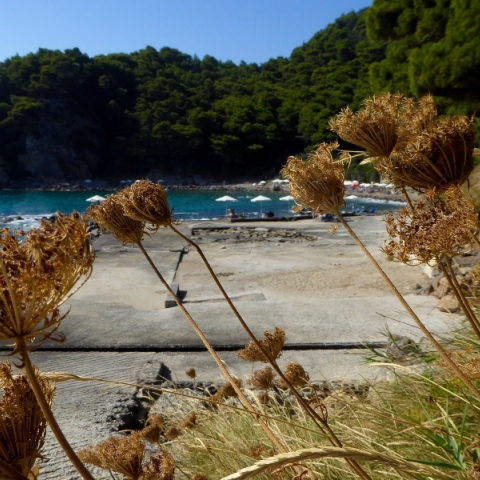 Καιρός: Τους 31 βαθμούς θα αγγίξει η θερμοκρασία αύριο