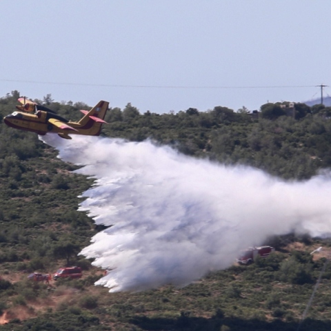 Φωτιά στη Φωκίδα: Μία σύλληψη για εμπρησμό από αμέλεια - Επιβλήθηκε πρόστιμο 1.074 ευρώ