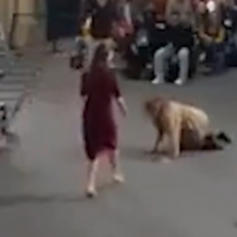 Δημοσιογράφος σωριάστηκε για να πιάσει μπάλα του μουντιάλ μετά από πάσα της προέδρου του Μεξικού