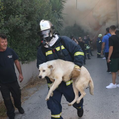 Μεγάλη η φωτιά σε εργοστάσιο στο Ηράκλειο: Καίγονται τρία σπίτια, μήνυμα του 112 για τους καπνούς