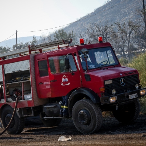 Σε ύφεση η φωτιά στον Ορχομενό με διάσπαρτες εστίες