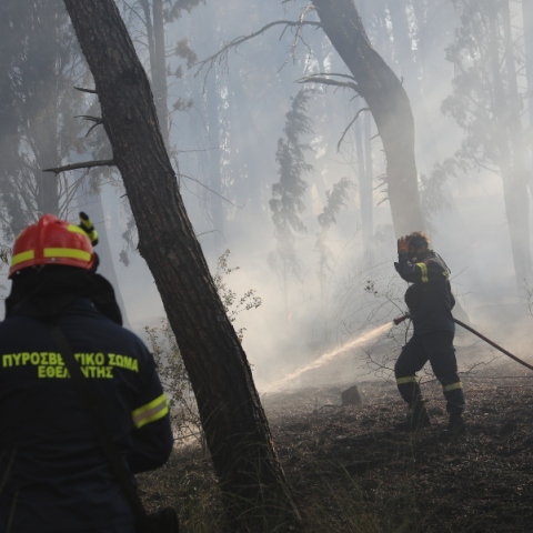 Φωτιά στα Εξαμίλια Κορινθίας - Μήνυμα του 112 για εκκένωση δύο οικισμών