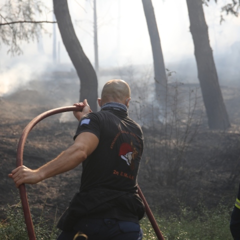 Ενισχύεται η Πυροσβεστική σε όλη τη χώρα - Πώς κατανέμονται οι 600 νέοι πυροσβέστες γενικών καθηκόντων