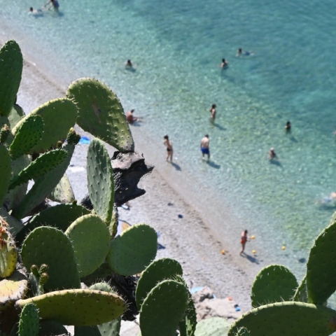 Καιρός αύριο: Στους 37 βαθμούς η θερμοκρασία – Τοπικές βροχές στα ηπειρωτικά