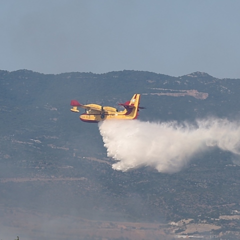 Φωτιά στη Νεοχωρούδα Θεσσαλονίκης - Μήνυμα 112 για ετοιμότητα