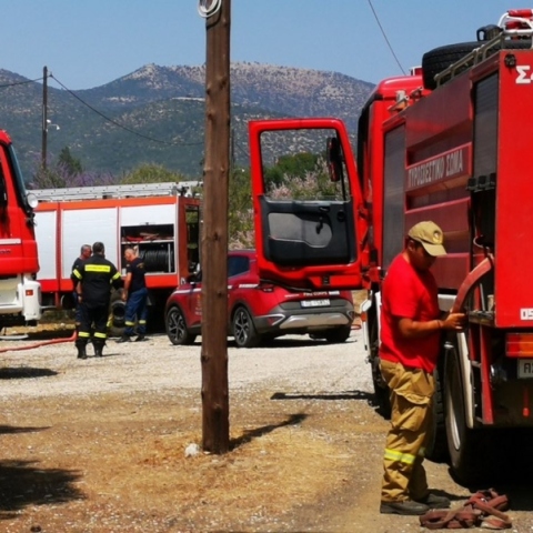 Αγρίνιο: Συνελήφθη 43χρονος για πυρκαγιά από αμέλεια - Του επιβλήθηκε πρόστιμο 1.640 ευρώ