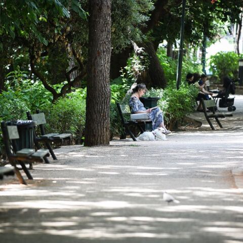 Απομακρύνεται προτομή του Μάνου Χατζιδάκι από το Άλσος Παγκρατίου