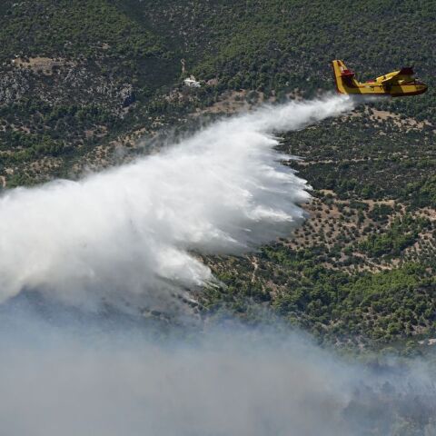 Μαίνεται η φωτιά στη Βοιωτία: Σαρωτικό πέρασμα από την Ξηρονομή