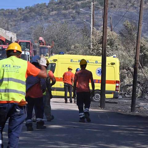 Καμένος κορμός τραυμάτισε εργαζόμενο του ΔΕΔΔΗΕ στην Αργολίδα