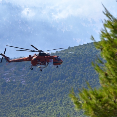 Φωτιά στην Καμηλόβρυση Λαμίας - 112 για ετοιμότητα