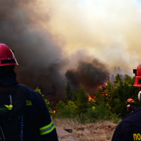 Φωτιά στην Κεφαλονιά: Διακοπές ρεύματος που προβλέπεται να ξεπεράσουν τις 24 ώρες στις πληγείσες περιοχές