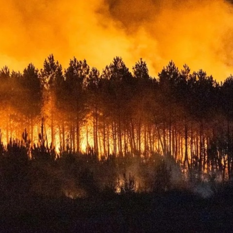 Σε Κρίση δημόσιας υγείας εξελίσσεται ο καύσωνας στην Ευρώπη – Οι πρωτοβουλίες του ΠΟΥ