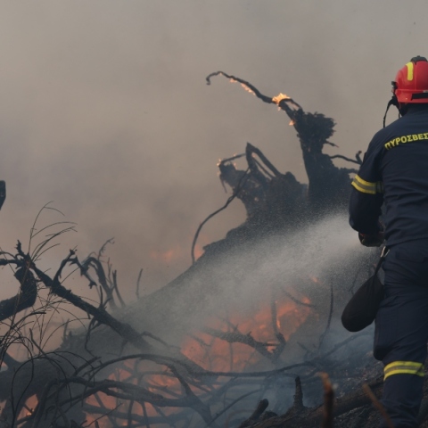 Φωτιά Χαλκιδική: Παραμένει η Πυροσβεστική στην Κασσάνδρα, κλειστός ο δρόμος Σίβηρη - Φούρκα