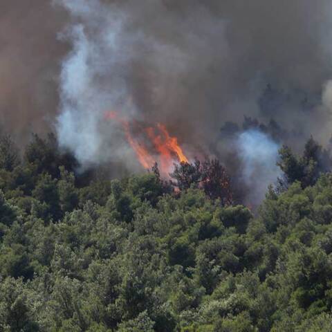 Φωτιά στη Βοιωτία καίει δάσος