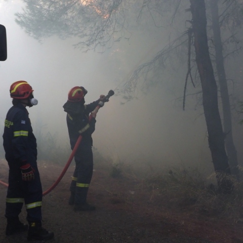 Χωρίς ενεργό μέτωπο η φωτιά στη Σητεία – Μάχη με διάσπαρτες εστίες