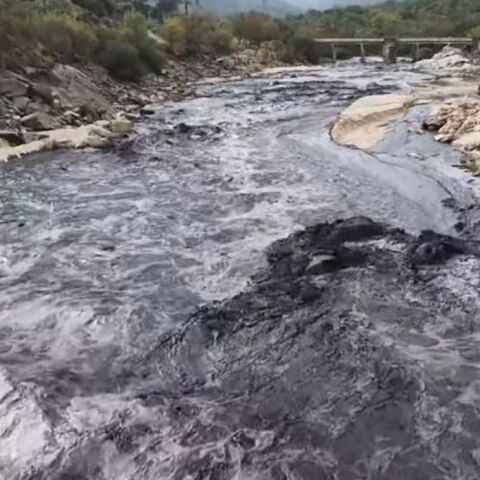 Ισπανία: Ποτάμι έγινε μαύρο από τις στάχτες των πυρκαγιών