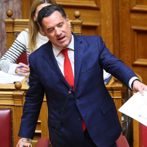 Γεωργιάδης σε Κωνσταντοπούλου: «Είσαι η καλύτερη φίλη του Κασιδιάρη»
