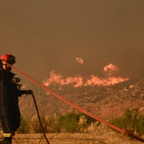 πυροσβεστες, φωτια, δασος