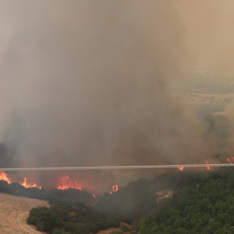 Φωτιά στην Αλεξανδρούπολη: Συνεχείς μεγάλες αναζωπυρώσεις