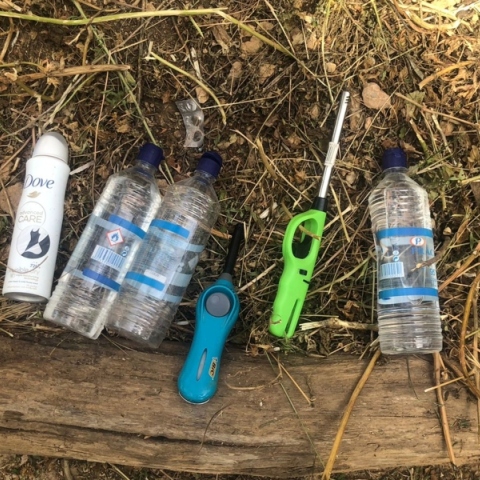 μπουκαλια, δασος