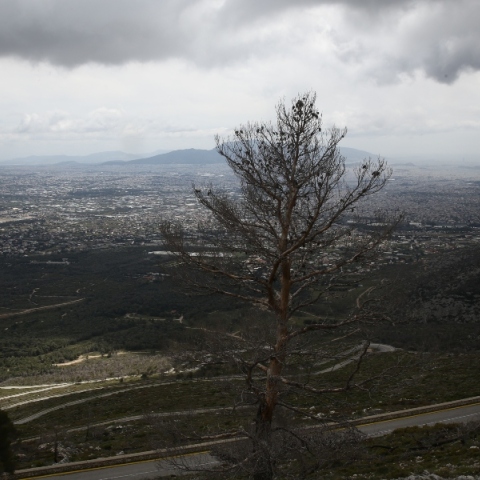 Καιρός αύριο: Στους 27 βαθμούς η θερμοκρασία με λιακάδα και λίγες τοπικές νεφώσεις