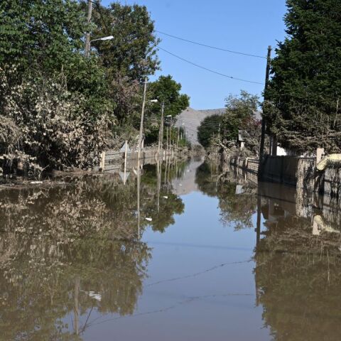 © ΤΑΤΙΑΝΑ ΜΠΟΛΑΡΗ / EUROKINISSI