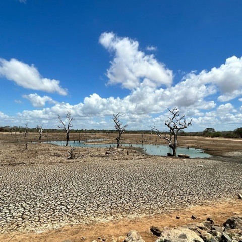 Λειψυδρία: Κλιμακωτή χρέωση ανάλογα με τα επίπεδα κατανάλωσης -  Αλλάζει ο τρόπος τιμολόγησης