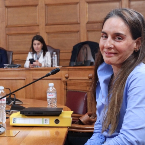 Η πρώην προϊσταμένη Διεύθυνσης Άμεσων Ενισχύσεων και Αγοράς του ΟΠΕΚΕΠΕ, Παρασκευή Τυχεροπούλου