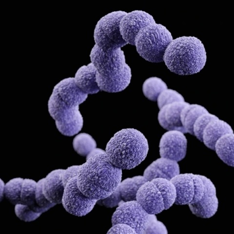 Στρεπτόκοκκος: Πώς γίνεται η διάγνωση και τι πρέπει να προσέχουν οι γονείς