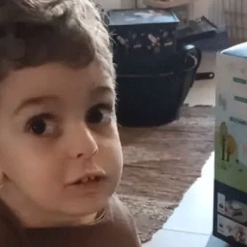 Ο Παναγιώτης Ραφαήλ