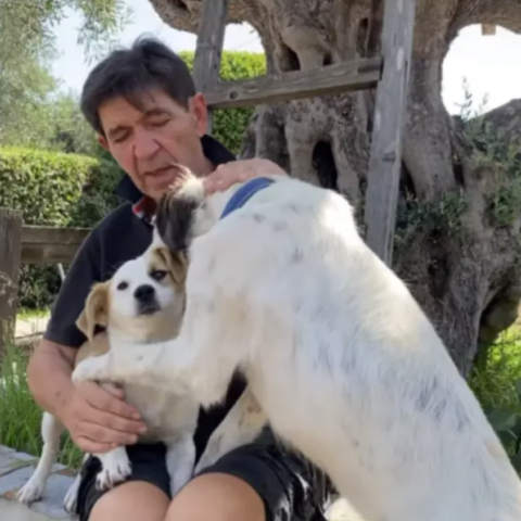 Ο Γεράσιμος Σκιαδαρέσης κάνει έκκληση στον κόσμο για την υιοθεσία δύο πανέμορφων σκύλων © Facebook