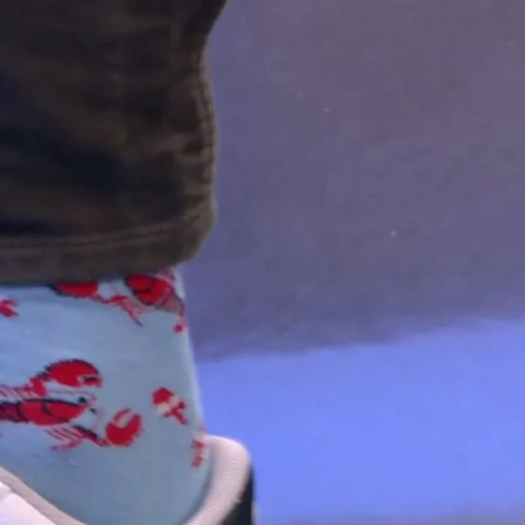 Στέφανος Κασσελάκης - Κάλτσες με αστακούς