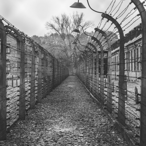 Ναζί πυροβολούσαν κρατούμενους για... πλάκα και εξάσκηση σε στρατόπεδο συγκέντρωσης