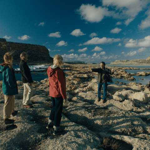 Pirateland, Σταύρος Πετρόπουλος